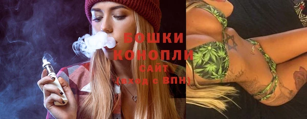 дживик Горняк