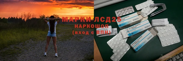 индика Горно-Алтайск