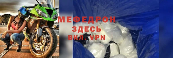 индика Горно-Алтайск
