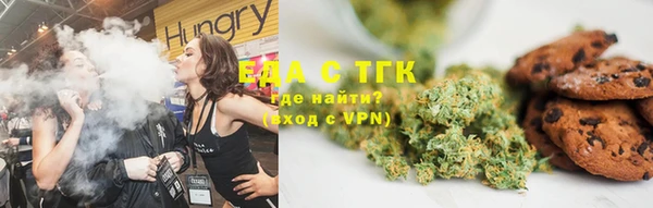 дживик Горняк