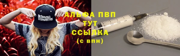 индика Горно-Алтайск