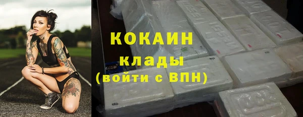 дживик Горняк