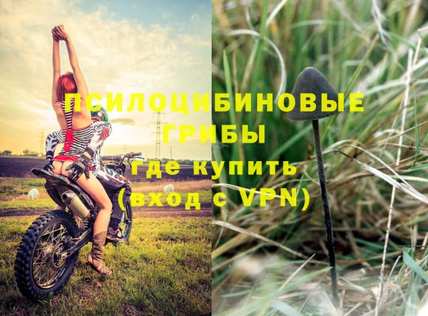 MDMA Premium VHQ Горнозаводск
