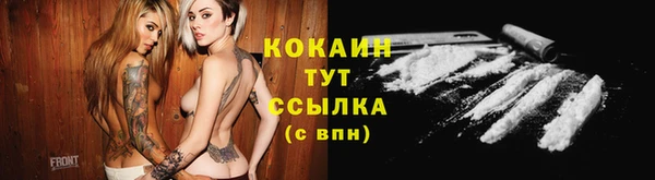 индика Горно-Алтайск