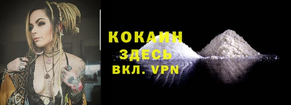 дживик Горняк