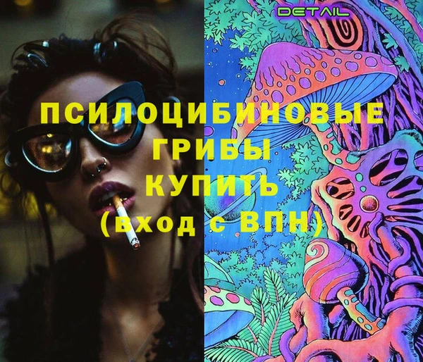 индика Горно-Алтайск