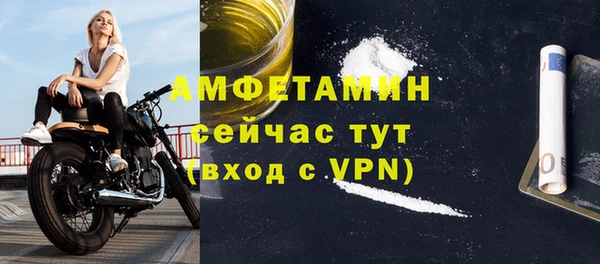 индика Горно-Алтайск