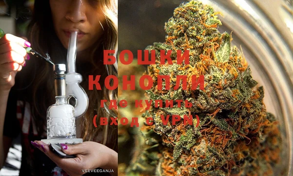 дживик Горняк