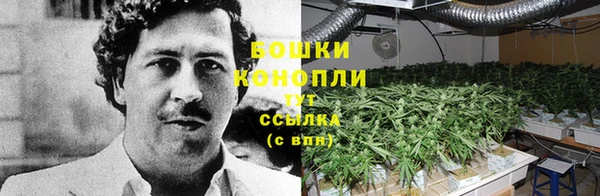 индика Горно-Алтайск