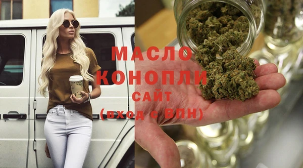 индика Горно-Алтайск