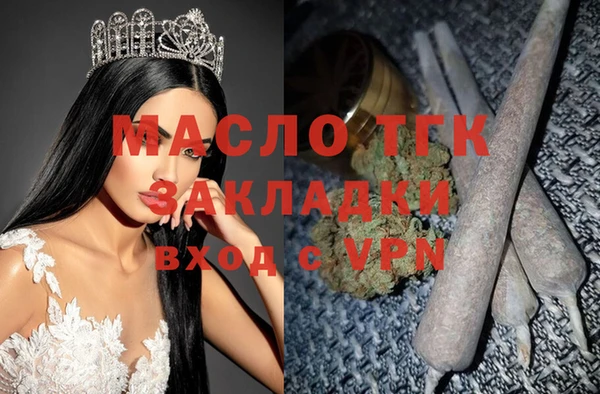 индика Горно-Алтайск