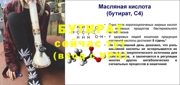 индика Горно-Алтайск