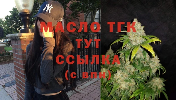 индика Горно-Алтайск