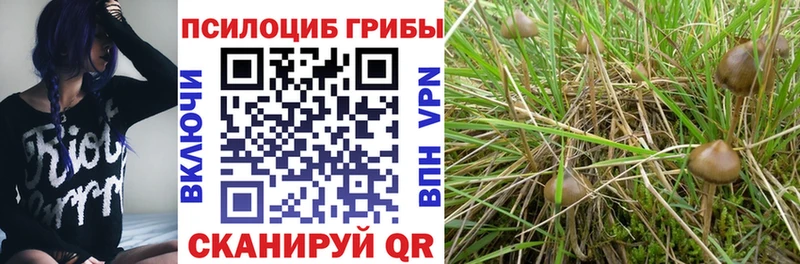 Псилоцибиновые грибы Magic Shrooms  blacksprut маркетплейс  Михайлов 